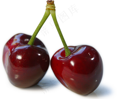 樱桃免抠素材 (12)