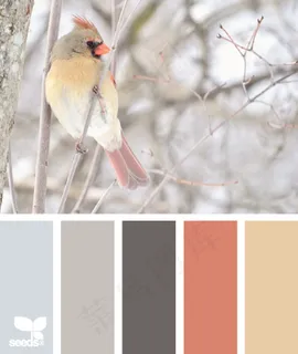 冬天系配色色卡色彩搭配