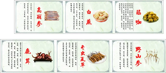 中药保健养生cdr矢量模版下载