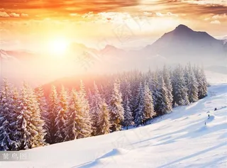 寒冷冬天雪山树林全景风景图片