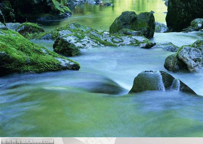 细水长流-漂亮的溪水