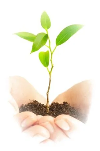 手中的泥土 PNG免抠