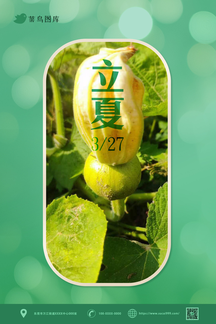 立夏二十四节气海报设计psd模版下载