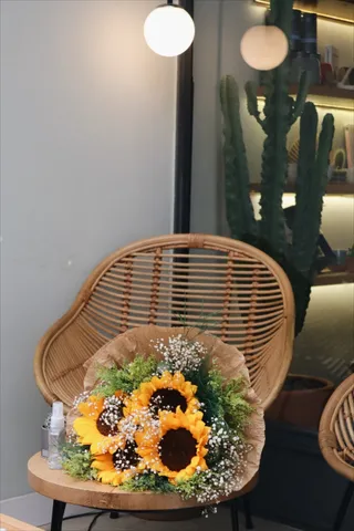 黄色向日葵摄影素材