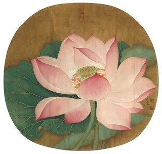 水上芙蓉图荷花工笔画