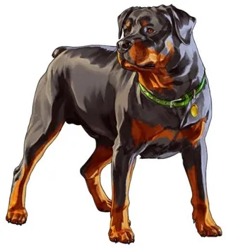 侠盗猎车手 PNG免抠