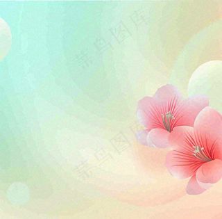 彩色简约鲜花花束郁金香渐变花朵