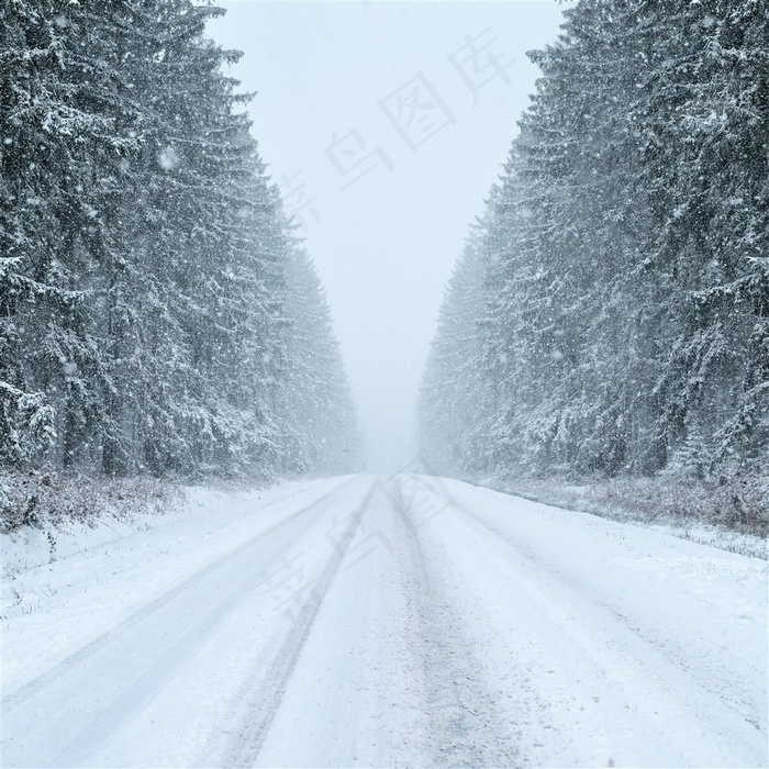 雪天道路两旁风景大图