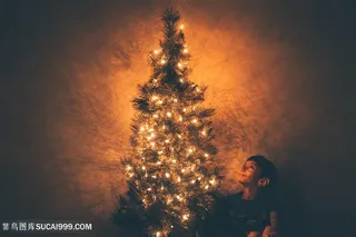 圣诞树与小男孩