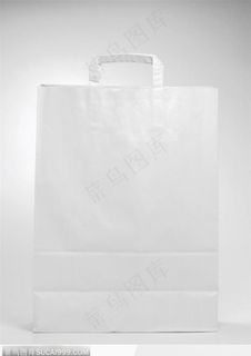 空白VI模板--纸提手手提袋 购物袋