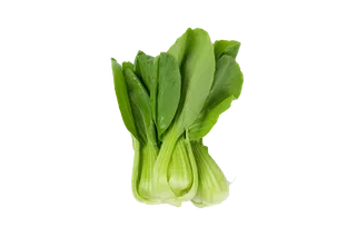 上海青 (5)超市商品白底图免抠实物摄影png格式图片透明底