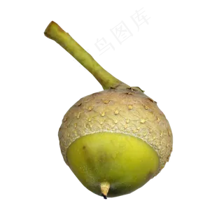 小素材   小素材