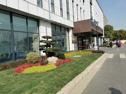 五针松花镜组团 五针松花镜组团