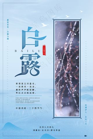 创意中国风白露节传统节气海报
