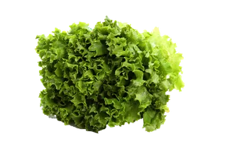 生菜 (31)超市商品白底图免抠实物摄影png格式图片透明底