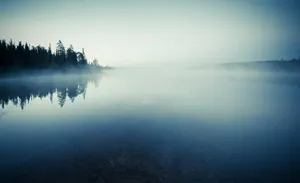 高清山水树林