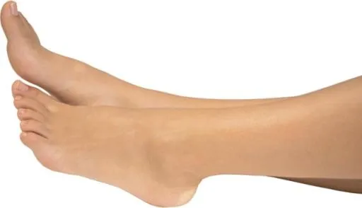 腿PNG图像，腿PNG免抠(631x363)