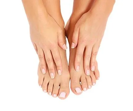 指甲 PNG免抠(432x362)