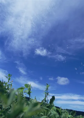 湛蓝色的天空白云jpg素材