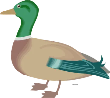 绿头鸭子卡通素材现代农业