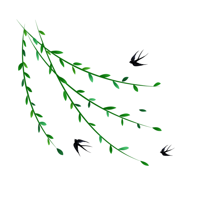 春天来了燕子飞来柳叶绿了