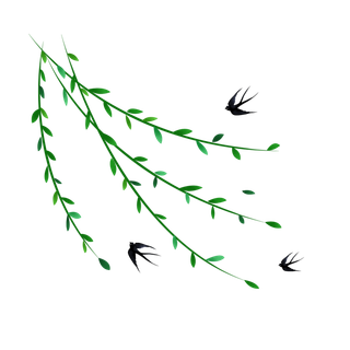春天来了燕子飞来柳叶绿了