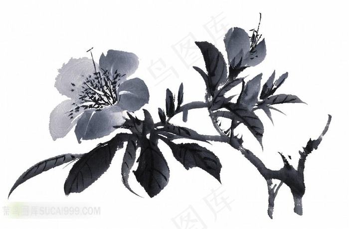 水墨桃花绘画高清图片