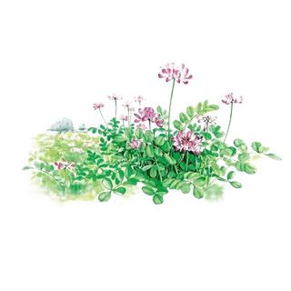 紫云英手绘小清新单层免抠