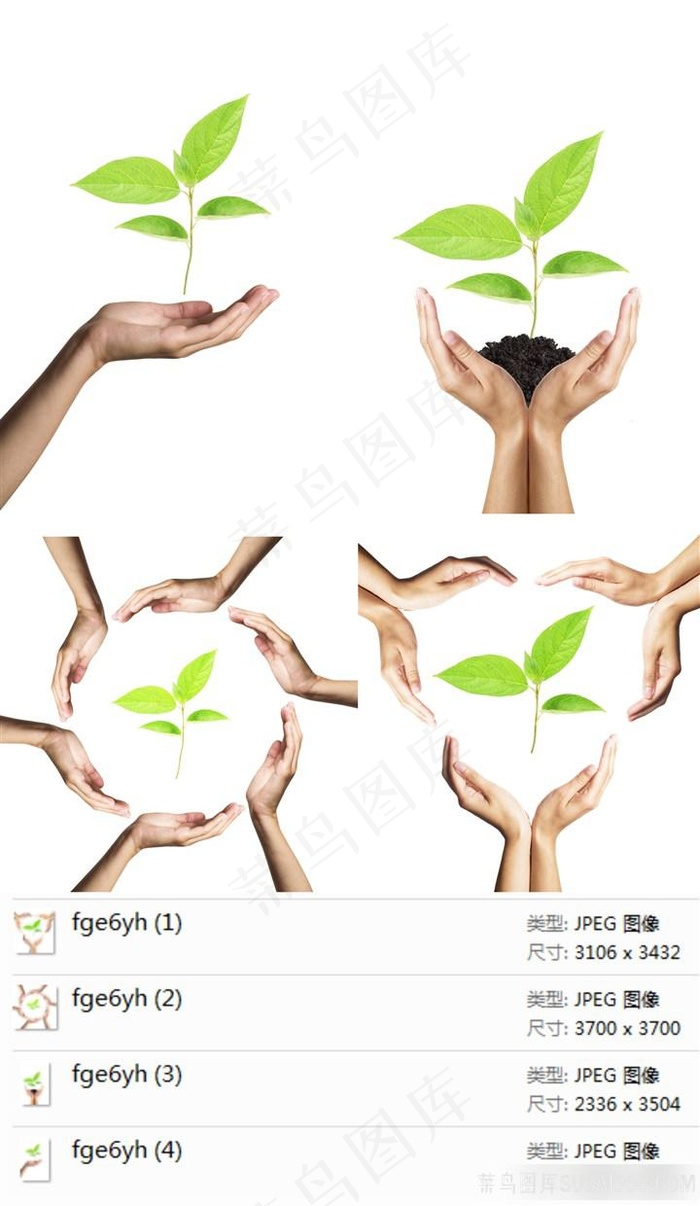 环保幼苗手势素材