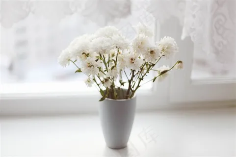 插花的花瓶素材图片 插花的花瓶素材图片