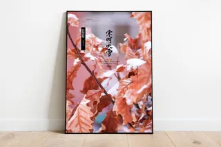 大雪 大雪节气海报