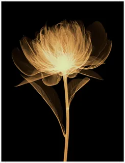 装饰画|客厅|海报画|电表箱装饰画|挂画