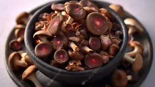 新鲜采摘的蘑菇蔬菜摄影图