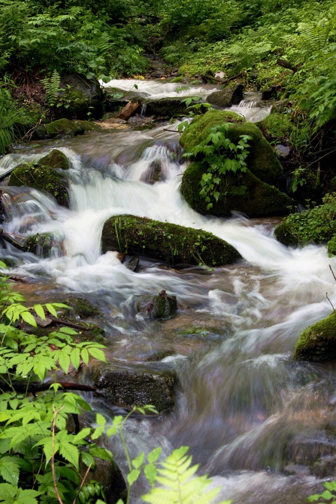 山间川流的小溪