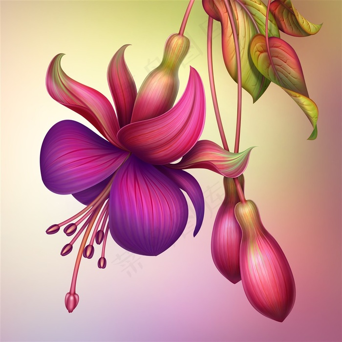 彩绘花卉图片