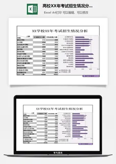 高校XX年考试招生情况分析excel模板 高校XX年考试招生情况分析excel模板