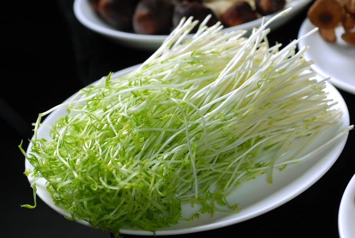 海鲜汤锅类豆苗火锅配菜美食设计素材