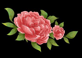 手绘国潮中国风古典牡丹花国花花卉装饰图案PSD设计素材