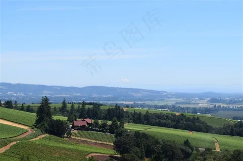 绿色农场自然景观 绿色农场自然景观