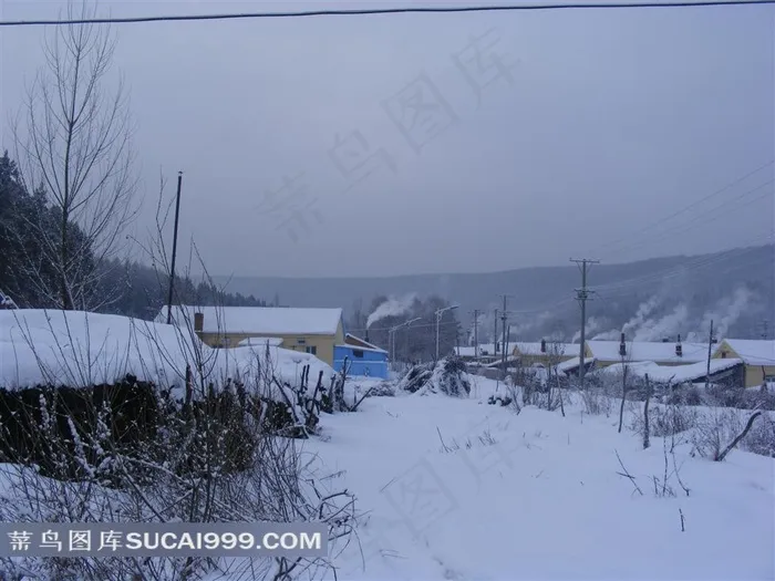 高清大雪田园风光图片