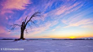 黄昏湖畔美景壁纸