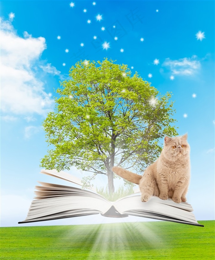 创意书本上的景色和猫咪高清图