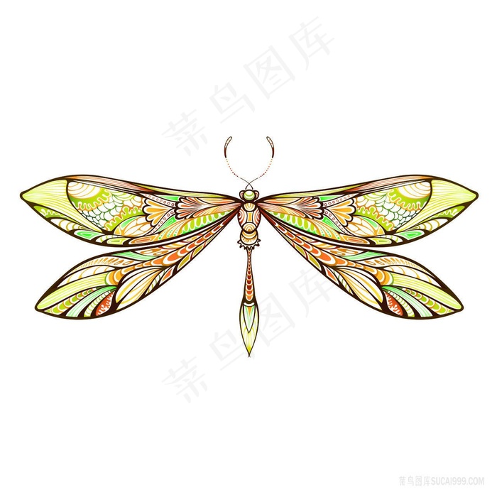 蜻蜓花纹时尚艺术插画