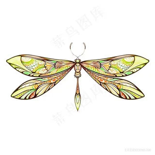 蜻蜓花纹时尚艺术插画