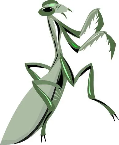 螳螂 PNG免抠(388x473)