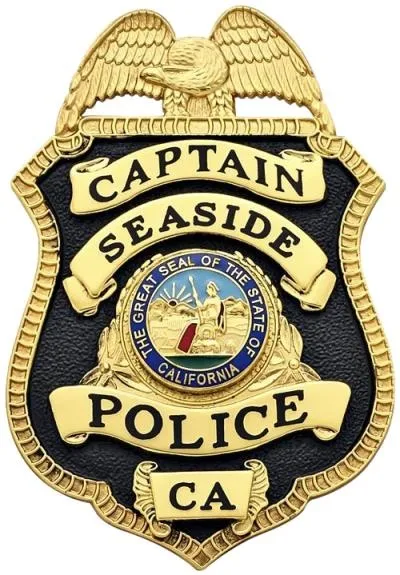 警徽 PNG免抠(400x575)