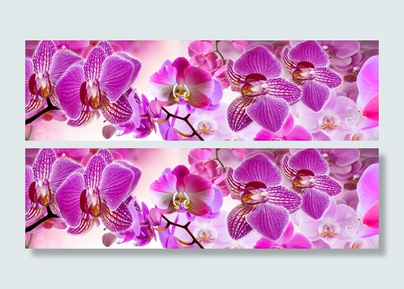紫色花枝兰花装饰画psd模版下载