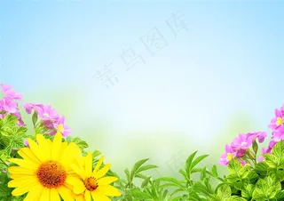 唯美彩色植物花朵高清图片