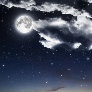 圆月工笔画素材