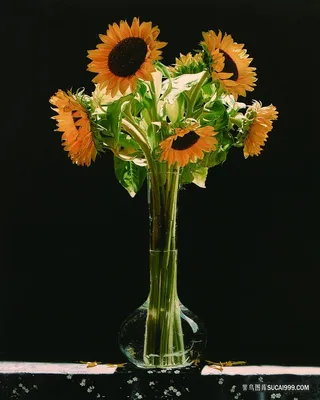 静物向日葵花卉油画